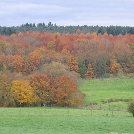 Hallerbos B&B in Bluebell Forest Halle  Exterior foto