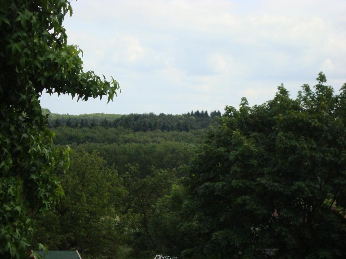 Hallerbos B&B in Bluebell Forest Halle  Exterior foto